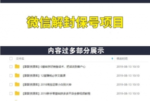 微信解封保号项目，0成本月入1-2万实战方法-多课资源站