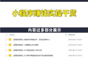 小程序赚钱实操干货：搭建+引爆+变现全攻略！-多课资源站