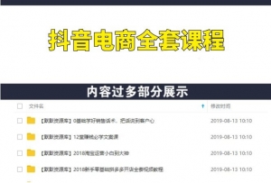 系统化利用抖音赚钱,做抖音电商月入10万元(全套课程)-多课资源站