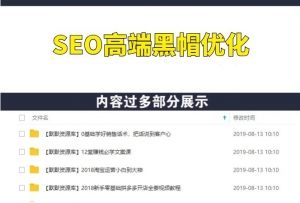 SEO高端黑帽优化之寄生页面排名,制作策略+快速收录排名(视频课)-多课资源站