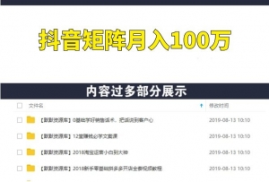 抖音矩阵月入100万利润+-多课资源站
