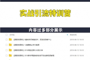 《实战引流特训营》视频课程,价值2000-多课资源站