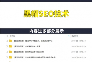 黑帽SEO蜘蛛池搭建泛目录快速排名技术,批量长尾关键词操作教程-多课资源站