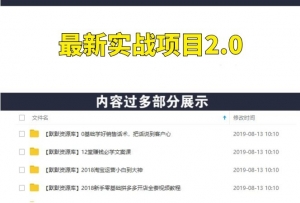 最新实战2.0:新手小白无脑操作,当天收益,日赚200+-多课资源站