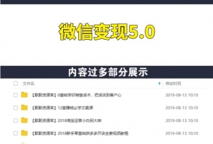 《微信变现5.0》新手老鸟可操作,月入20000+【全套课程+工具】-多课资源站