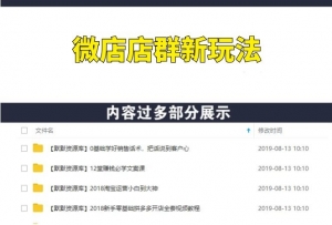 微店店群玩法,200多个店铺,每天躺赚纯利1万(全套课程)-多课资源站