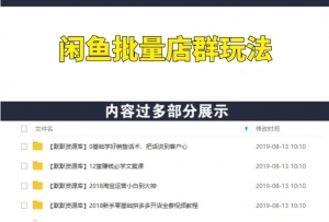 最正确的闲鱼批量店群玩法,实操VIP视频教程-多课资源站