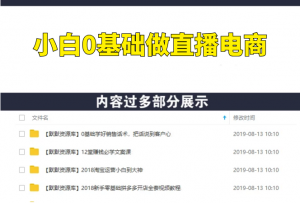 小白0基础也能变主播，为什么今年一定要做直播电商？-多课资源站