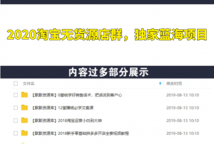 2020淘宝无货源店群，独家蓝海项目-多课资源站