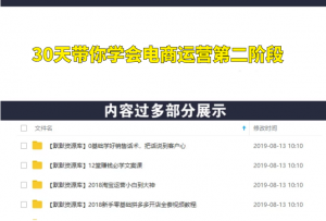 30天带你学会电商运营第二阶段:稳定出单的逻辑思维-多课资源站