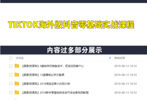 TIKTOK海外版抖音零基础实战课程第1期,全面掌握TIKTOK基础运营方法-多课资源站