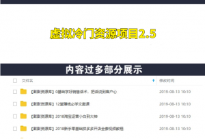 虚拟冷门资源项目2.5（冷门&代理玩法） 精准引流实操日赚1000+(更新中)-多课资源站