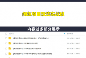 宅男 《闲鱼项目玩法实战班 》线上第八期，第1-3节视频课（无水印）-多课资源站
