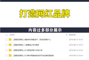操盘手教你从0到1，打造属于自己的网红品牌，一年疯狂卖几亿货（全套视频）-多课资源站