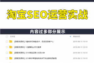 2020年零基础淘宝SEO运营实战，大数据时代精细化运营流程-多课资源站