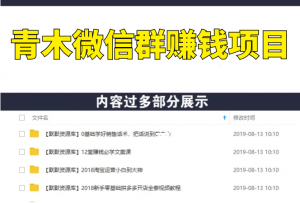 青木微信群赚钱项目，一单收益几百到几千，月收入超10w+【价值1888元】-多课资源站