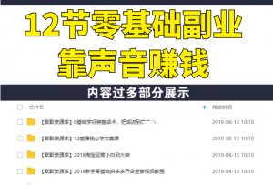 12节零基础副业靠声音赚钱-多课资源站