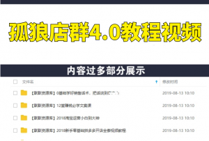 孤狼店群4.0教程视频（共8节完结版）-多课资源站