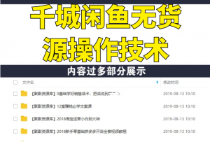 千城闲鱼无货源操作技术，单店单月上万元可以批量操作-多课资源站