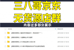 三八哥工作室京东负责人阿和教你操作京东店群无货源-多课资源站