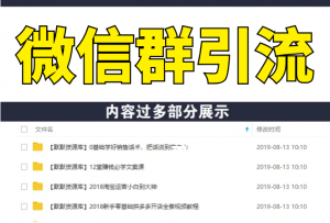 胜子老师《引流&自动变现》微信群引流1.0（共三节视频）无水印-多课资源站