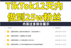 TikTok打造成权重高的热门优质账号，我是如何在12天内做到25w粉丝的（视频+文档-多课资源站