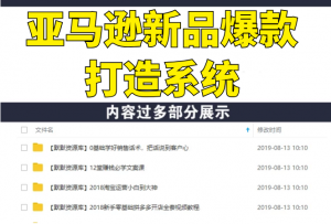 亚马逊全球开店数据化选品实操技巧:驱动新品爆款打造系统(无水印-视频)-多课资源站