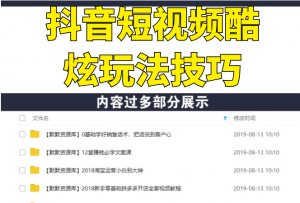 抖音短视频酷炫玩法实战技巧:小白靠搬运也能月入1万到10万(6节视频无水印)-多课资源站
