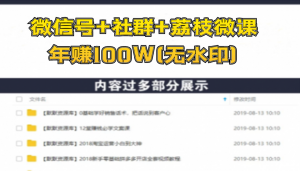荔枝微课变现实操:微信号+社群+荔枝微课(直播+免费+付费)年赚100W(无水印)-多课资源站