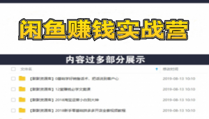 闲鱼赚钱实战营,一部手机,无需货源,每天半小时,每月增收2万+(无水印)-多课资源站