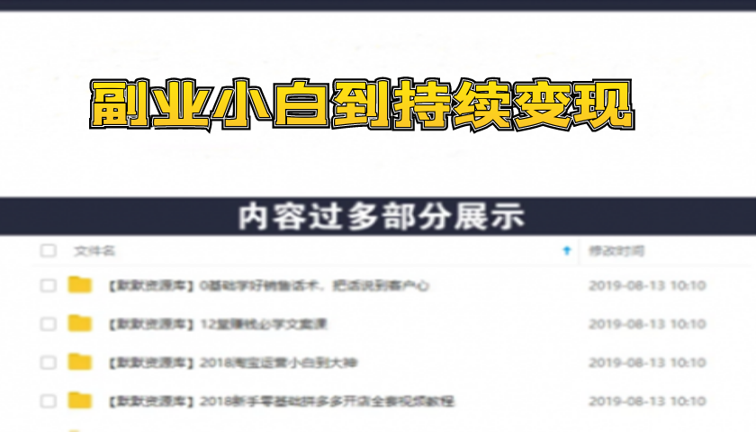 构建财富加速器，副业小白到持续变现月涨粉2000+，变现30万的方法技巧-多课资源站