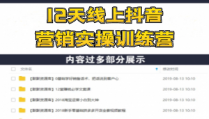 《12天线上抖音营销实操训练营》通过框架布局实现自动化引流变现（无水印）-多课资源站