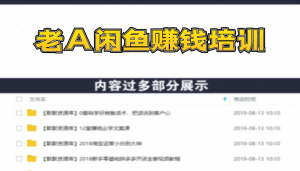 《老A闲鱼赚钱培训》简单粗暴直接，月入过万真正的闲鱼战术实课（51节课）-多课资源站