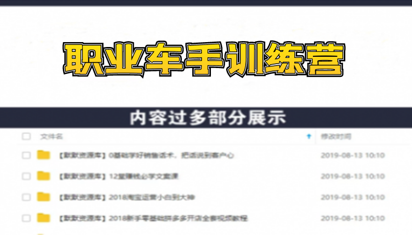 职业车手训练营：专业车手的养成之路，快速打造爆款（8节-无水印直播课）-多课资源站