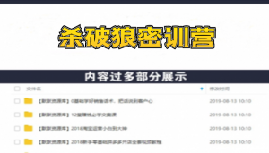 杀破狼密训营：B站霸屏引流的原理及方式+搭建赚钱的内容法则-多课资源站