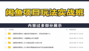 闲鱼项目玩法实战班第13期:从0到N+方法,全程直播 现场演练(全套无水印)-多课资源站