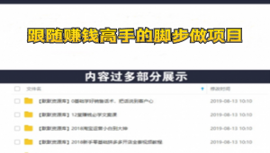 跟随赚钱高手的脚步做项目，月入10W+的认知变现 价值1600元-多课资源站
