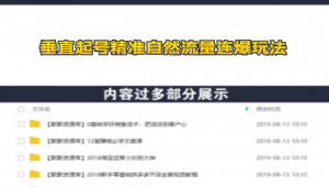 垂直起号精准自然流量连爆玩法，精准引流暴力变现月入10000+-多课资源站