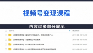 从0到1带你玩赚视频号:这么玩才赚钱,日引流500+日收入1000+核心玩法-多课资源站