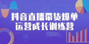 抖音直播带货爆单运营成长训练营，手把手教你玩转直播带货-多课资源站