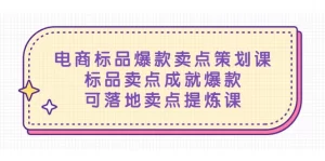 电商标品爆款卖点策划课，标品卖点成就爆款，可落地卖点提炼课-多课资源站