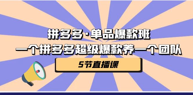 拼多多·单品爆款班,一个拼多多超级爆款养一个团队(5节直播课)-多课资源站